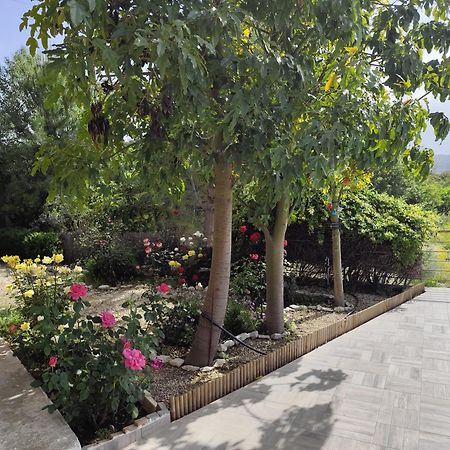 Roses Villa Trimiklini Ngoại thất bức ảnh