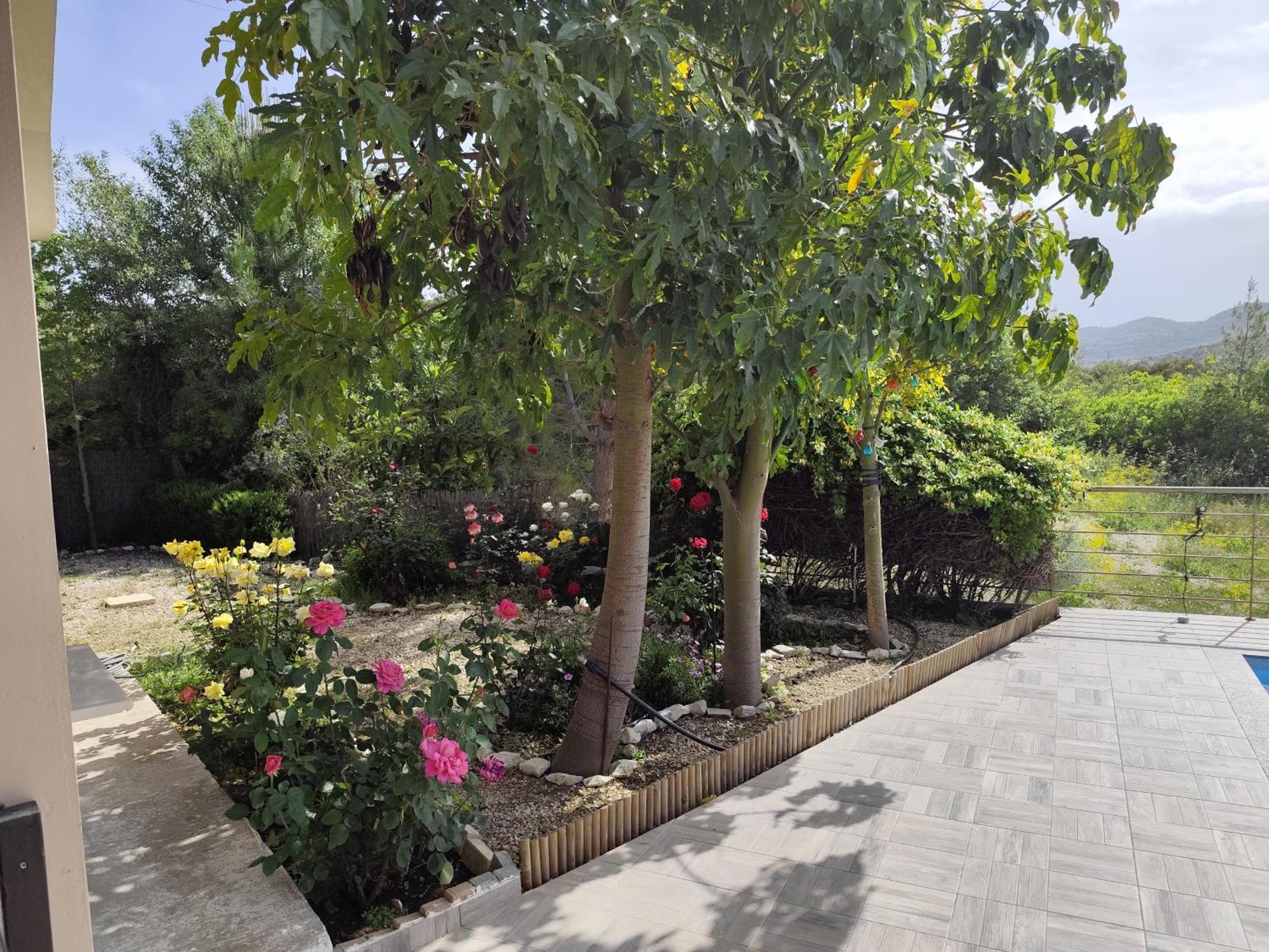 Roses Villa Trimiklini Ngoại thất bức ảnh
