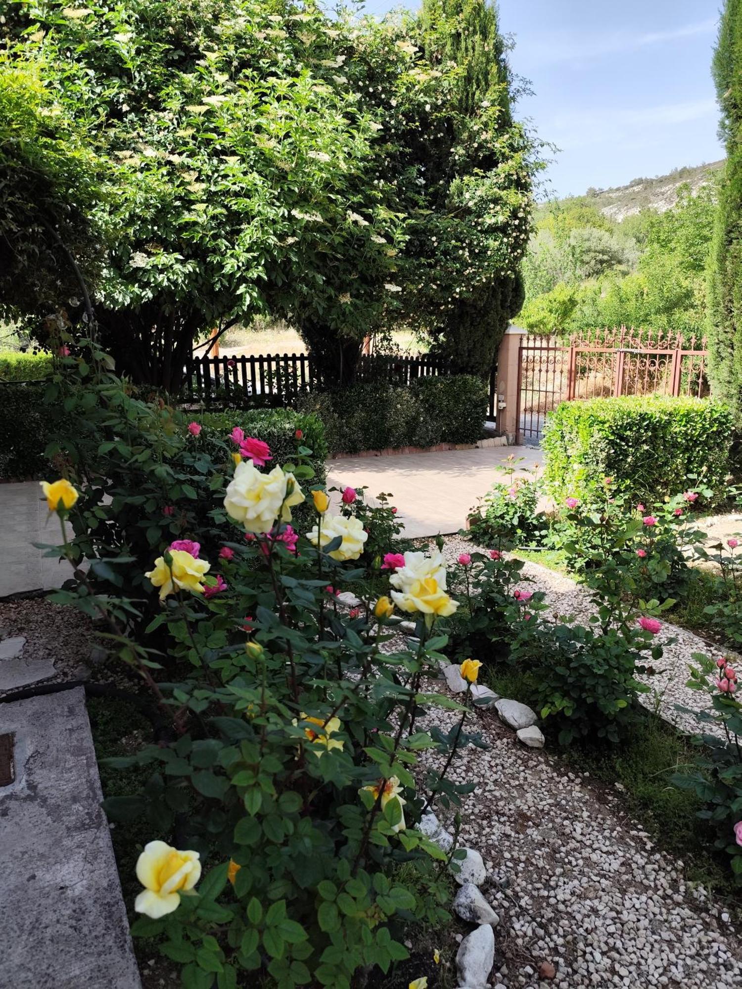 Roses Villa Trimiklini Ngoại thất bức ảnh