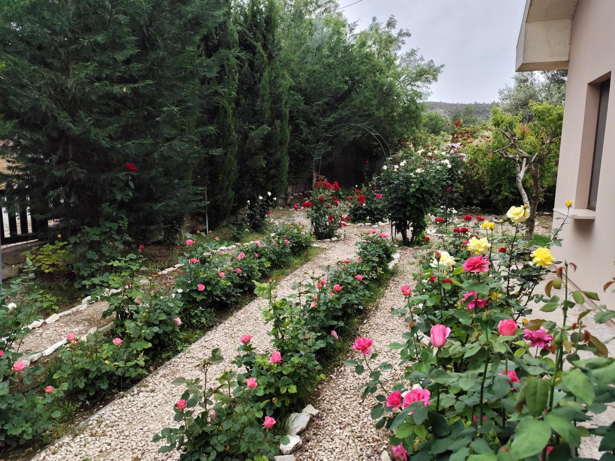 Roses Villa Trimiklini Ngoại thất bức ảnh