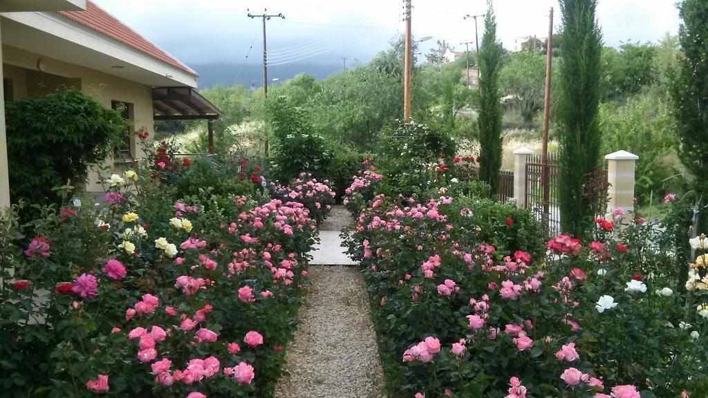 Roses Villa Trimiklini Ngoại thất bức ảnh